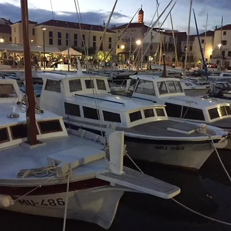 Butterfly Tonkica * Betina