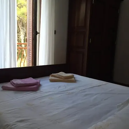 Butterfly Tonkica * 贝蒂纳