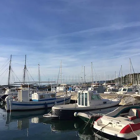 Butterfly Tonkica * 贝蒂纳