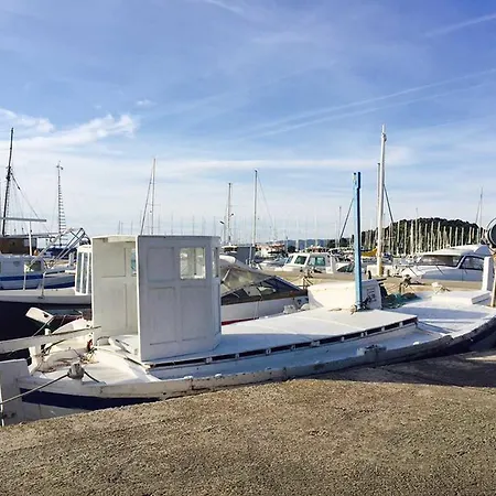 Butterfly Tonkica * Betina (Sibenik-Knin)