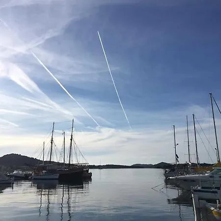 Butterfly Tonkica Betina (Sibenik-Knin)