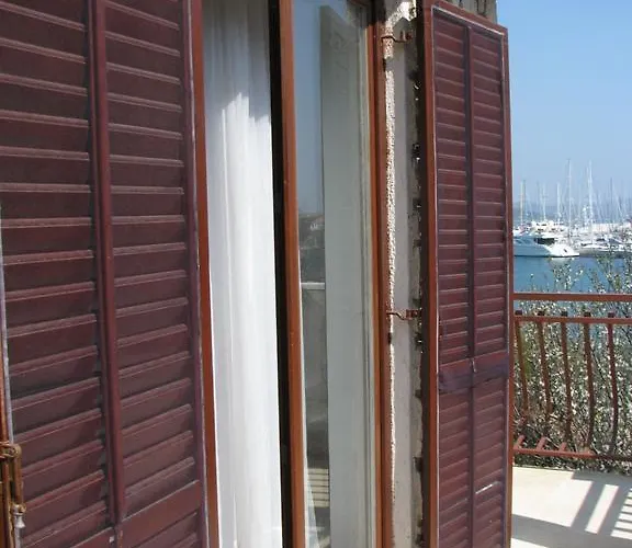 Butterfly Tonkica Betina (Sibenik-Knin)