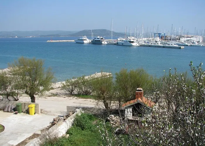 Butterfly Tonkica * Betina (Sibenik-Knin)