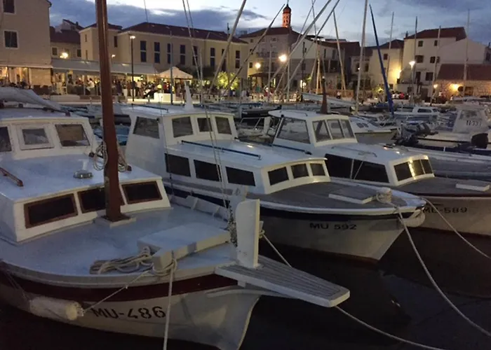 Butterfly Tonkica * Betina (Sibenik-Knin)