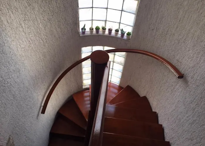 Vikendica Butterfly Tonkica