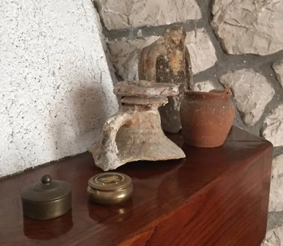 Butterfly Tonkica Сasa de vacaciones