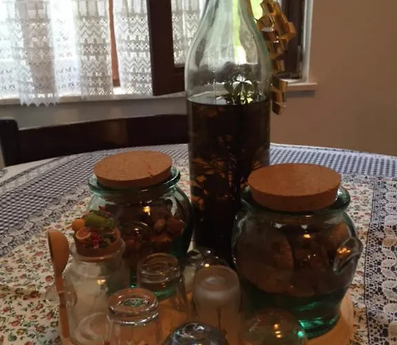 Сasa de vacaciones Butterfly Tonkica *