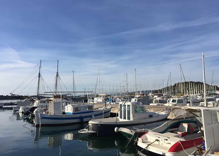 Butterfly Tonkica * Betina (Sibenik-Knin)