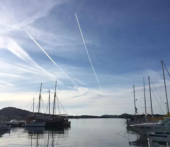 Butterfly Tonkica Betina (Sibenik-Knin)